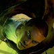Image for article titled The Most Exciting New Science Fiction And Fantasy Books In November
